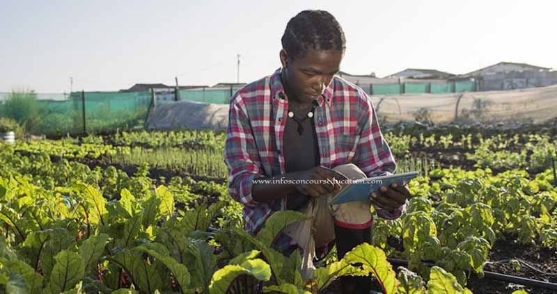 Sama Mbey recrute 18 Agents Formateurs