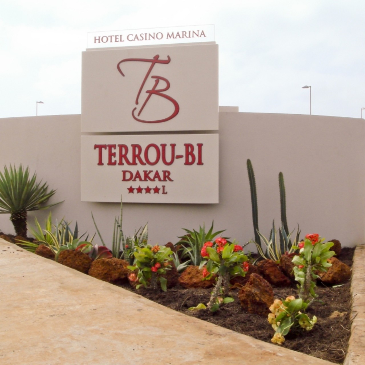 Terrou bi recrute 01 assistant marketing