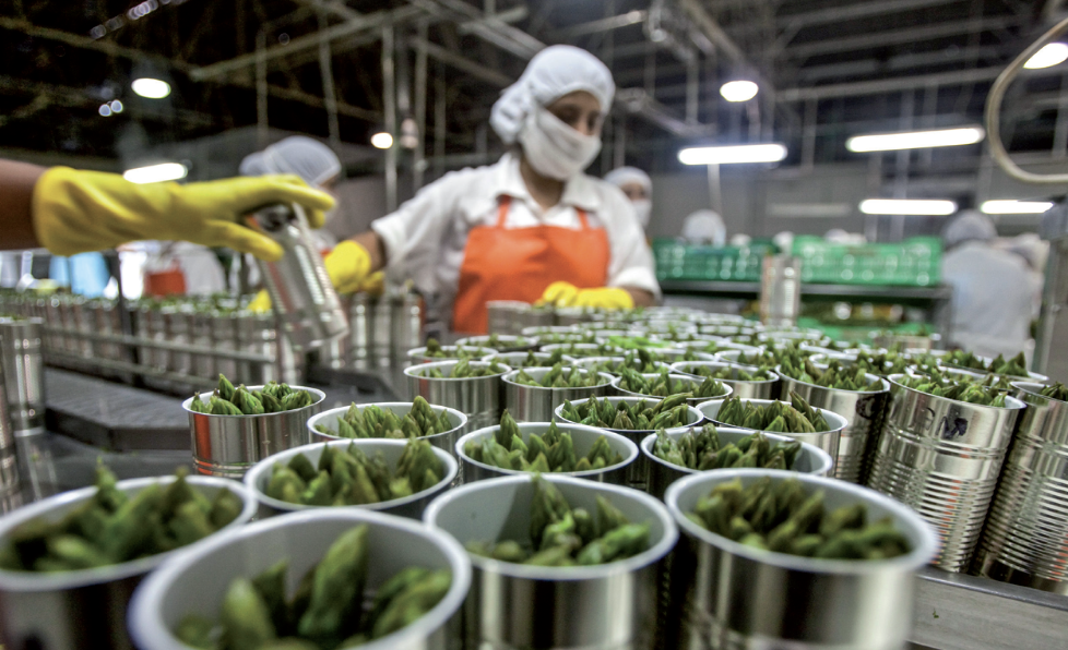 Concours BTS Industries Agroalimentaires - Dépôts Ouverts