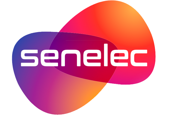 La Senelec recrute 01 Ingénieur Projets