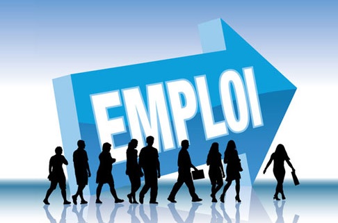 VIS recrute plusieurs profils