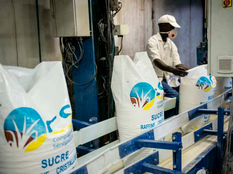 La Compagnie Sucrière Sénégalaise recrute des jeunes talentueux