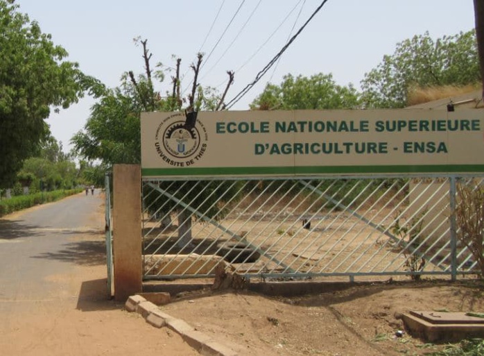 Résultats concours ENSA Thiès session 2025