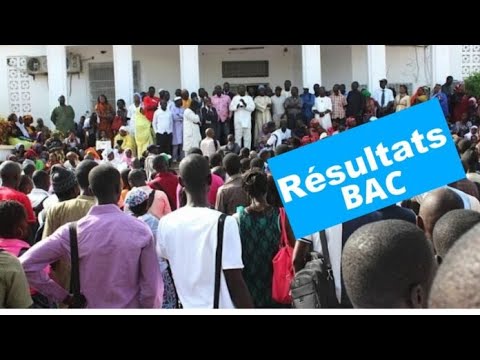 Résultats BAC 2025 Résultats Lycée Nguidile Louga jury 838