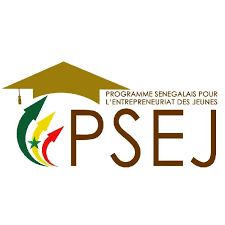 PSEJ - Appel à candidature pour l'entrepreneuriat des jeunes Sénégalais