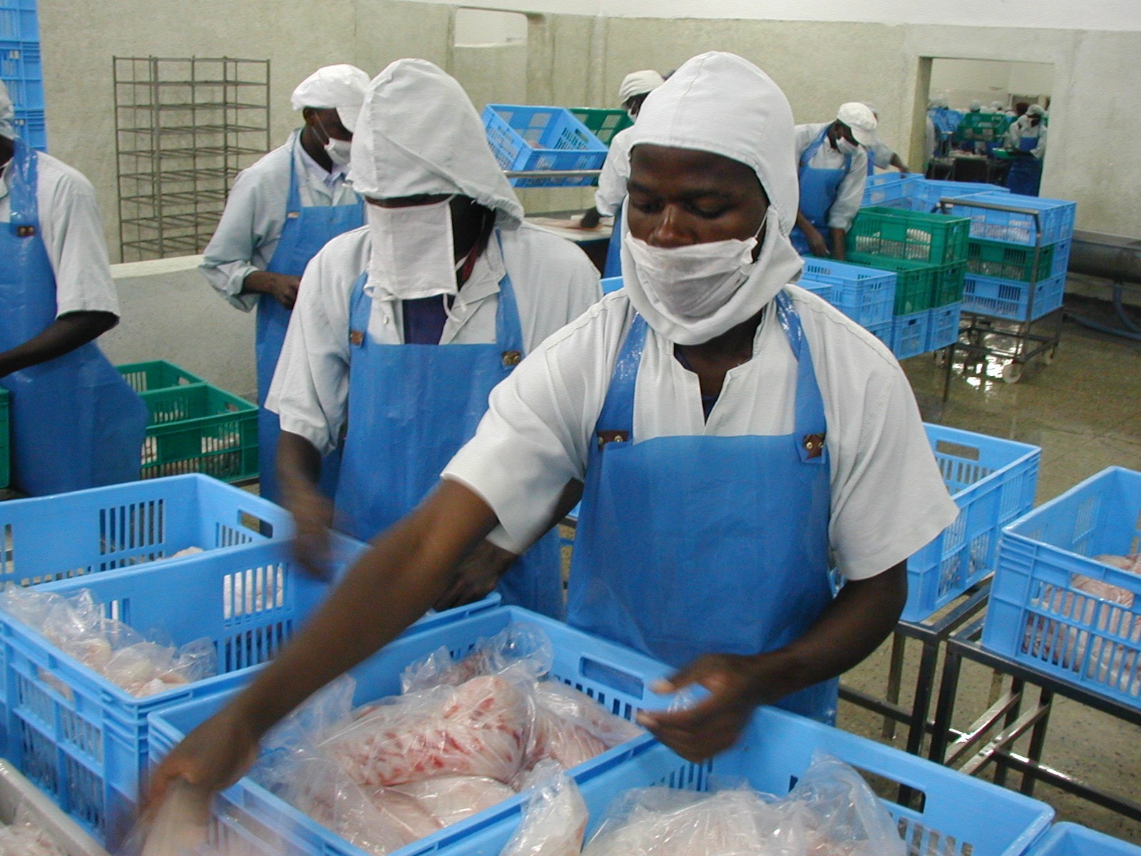 L'Usine de Sindia recrute plusieurs jeunes