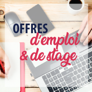 Avis de recrutement de plusieurs profils
