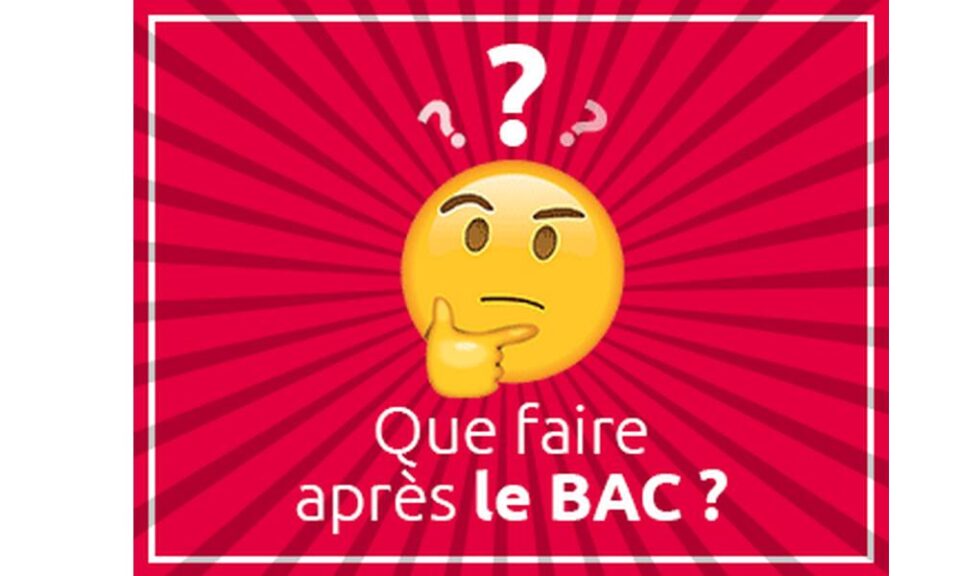Que faire après un bac +2/3 ?