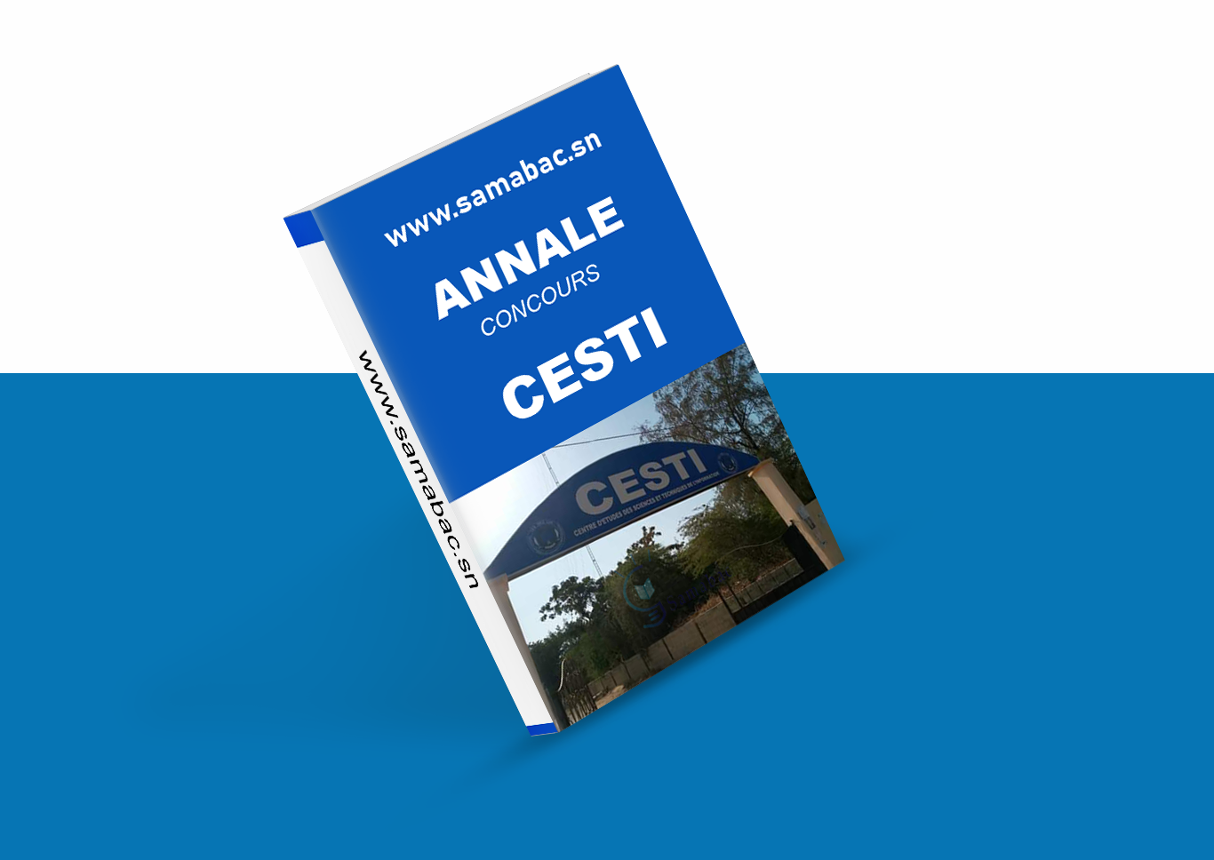Annales Concours CESTI