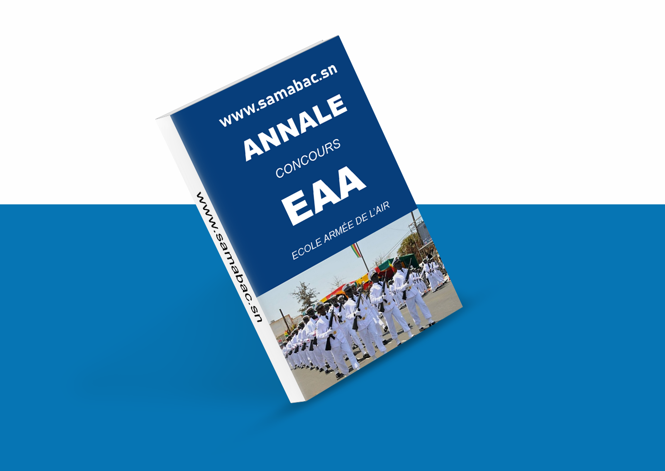 Annale concours EAA
